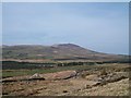 Rough grazing on the lower slopes of Mynydd Cennin