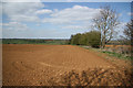 Brixworth farmland