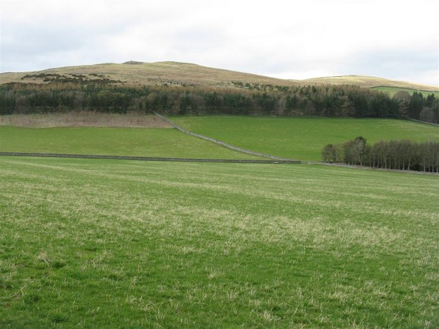 Plantation and farmland at Whytbank