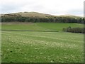 Plantation and farmland at Whytbank