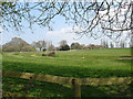 Barn Meadow