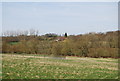 View towards Whitestocks Farm