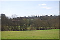 View west from the High Weald Landscape Trail