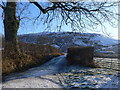 The path to Caer Drewyn