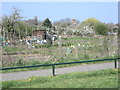 Bilton-Alwyn Road Allotments