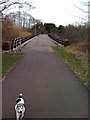 Maxwelltown Bike Path and the Queen of the South Viaduct