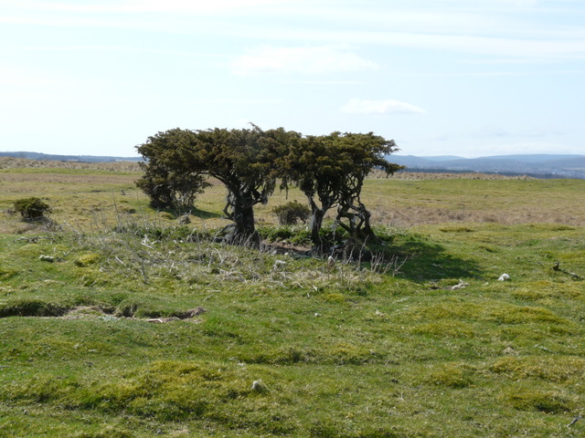 RAF Tain bombing range © sylvia duckworth :: Geograph Britain and Ireland