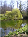 Pond in Holywells park.