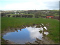 Field at Hill Head