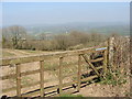 Gate to a field, near road between Maesybont and Penrhiwgoch