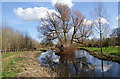 The River Eye approaching Lower Slaughter