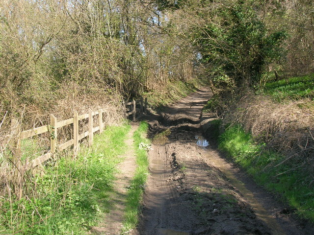 Muddy Lane to Inglesbatch