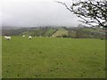 Crabarkey Townland