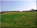 Hillside above the railway