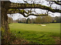 West Surrey Golf Club, Enton Green