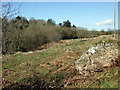 Valley of the Spittal Brook