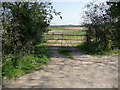 Andover Down - Field Entrance