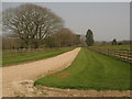 Driveway to Combwell Priory Farm