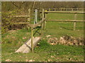 Stile and footbridge near Combwell Priory Farm