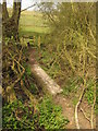 Footbridge and stile near Shearnfold Wood