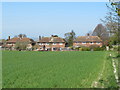 Winter wheat and houses at Bledlow