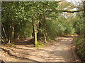 Footpath junction near Kilndown