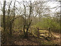 Stile near the A21 London Road