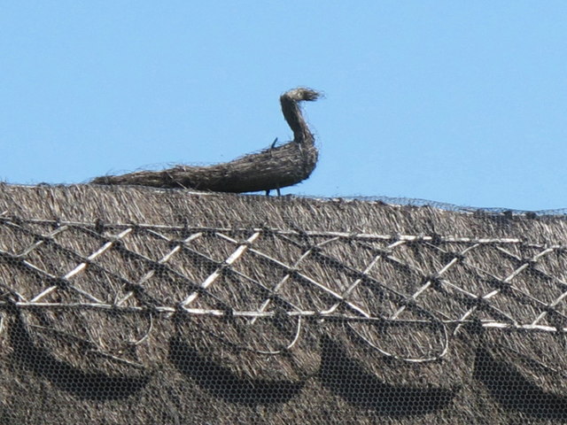 Straw peacock on thatched roof