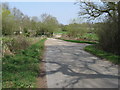 Sharp bend in Nursery Lane