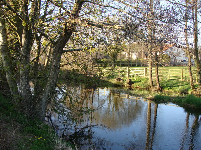 River Culm, Culmstock © Ruth Sharville :: Geograph Britain and Ireland