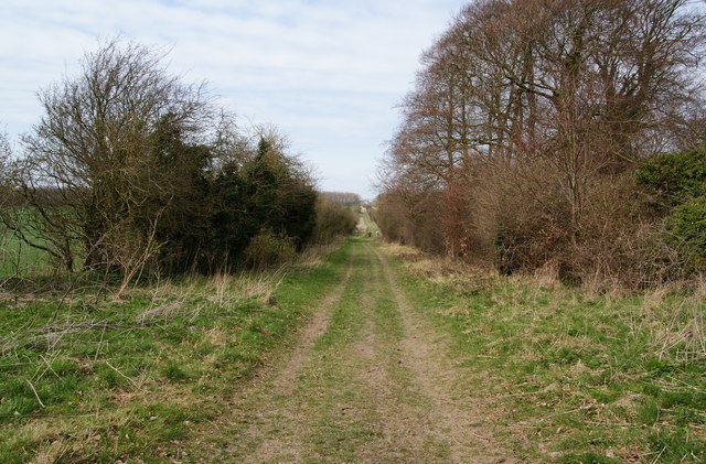 Downland track © Bill Boaden cc-by-sa/2.0 :: Geograph Britain and Ireland