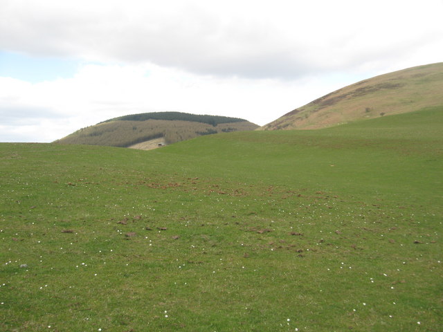 Grazing lands in Dumfries and Galloway