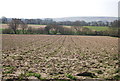 Ploughed field off The Vanguard Way