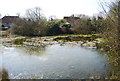 Village pond, Berwick