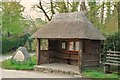 Litton Cheney: Thatched Shelter