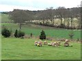 Modern stone circle