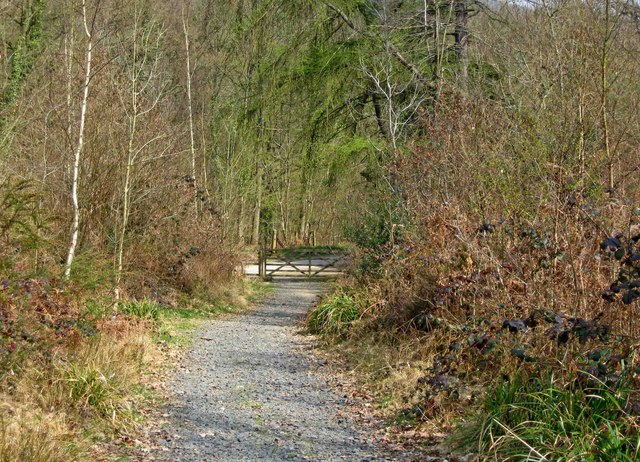 the old railway cycle route new forest