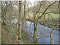 The peaceful Ale Water heading for Ashkirk