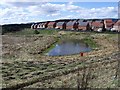 Suds pond, Smithstone