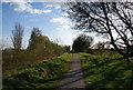 Path from Fairfield to Abbey Hey