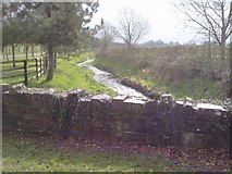 N9945 : Stream, Lustown, Co Meath by C O'Flanagan