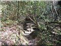 Narrow path to footbridge in Campfield Rough