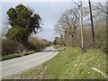 N9443 : Country Road, Kilclone, Co Meath by C O'Flanagan