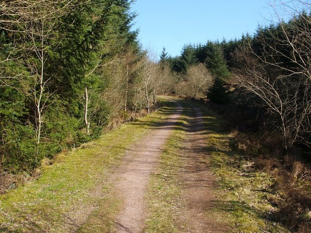 Forest track on Bannachra Muir