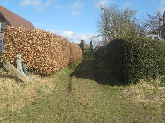 Footpath leading to Water Tower, Woodlands Road, Quarndon, Derbyshire