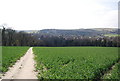 Alfriston from above