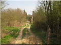 TQ7229 : Sussex Border Path towards Brookgate Farm by David Anstiss