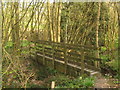 TQ7229 : Footbridge on the Sussex Border Path by David Anstiss