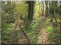 TQ7330 : Sussex Border Path and Boggy Wood Track by David Anstiss