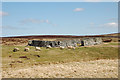 NT5552 : Sheepfold, Edgarhope Moor by Jim Barton